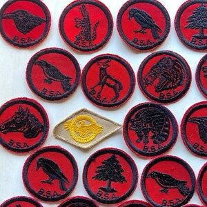 30 Boy Scout patches / embroidered merit badges